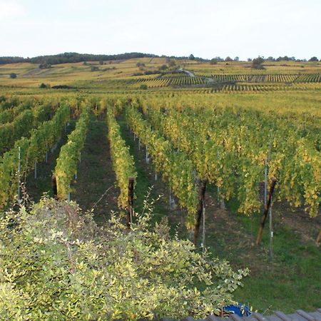 Chambre D'Hotes Le Vogelgarten Sigolsheim Dış mekan fotoğraf