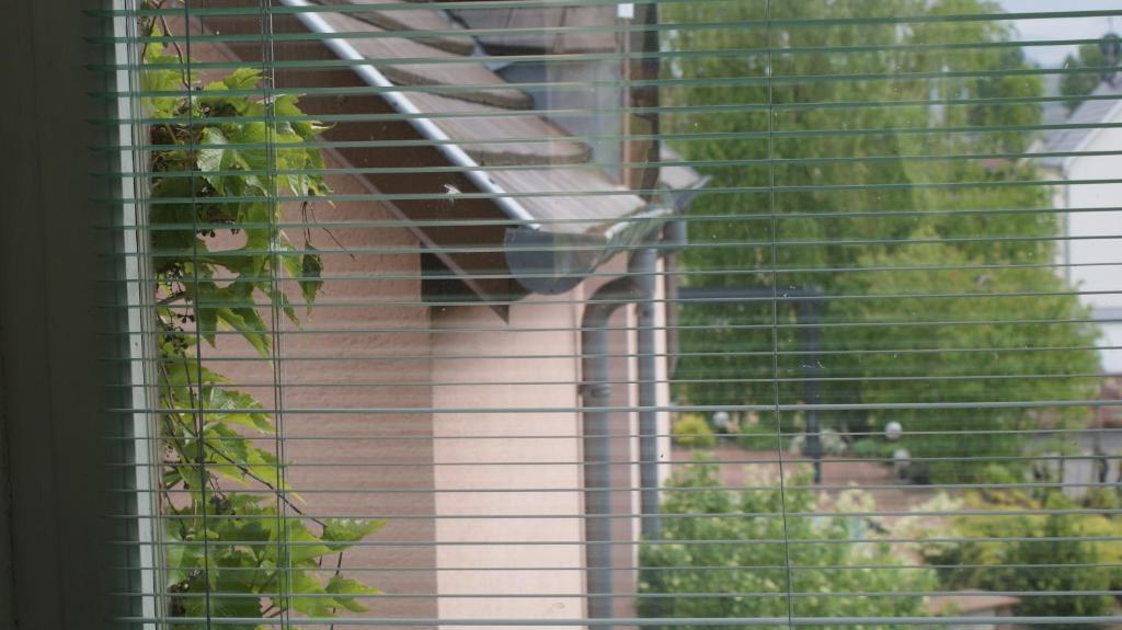 Chambre D'Hotes Le Vogelgarten Sigolsheim Oda fotoğraf